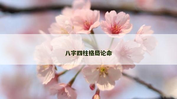 八字四柱格局論命