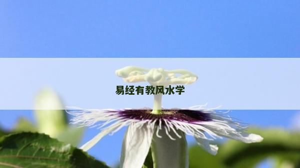 易經(jīng)有教風(fēng)水學(xué)