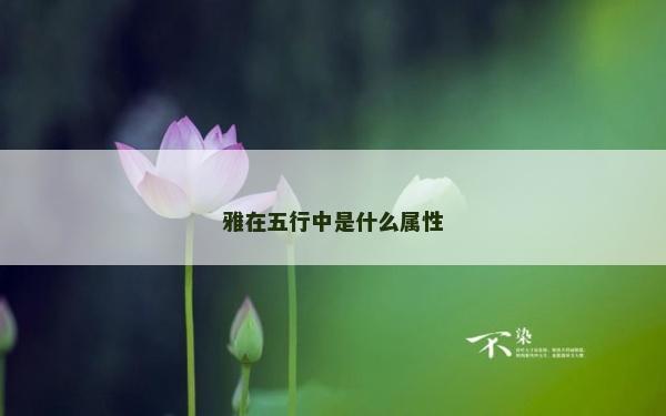 雅在五行中是什么屬性