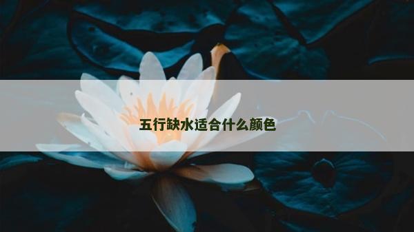 五行缺水適合什么顏色