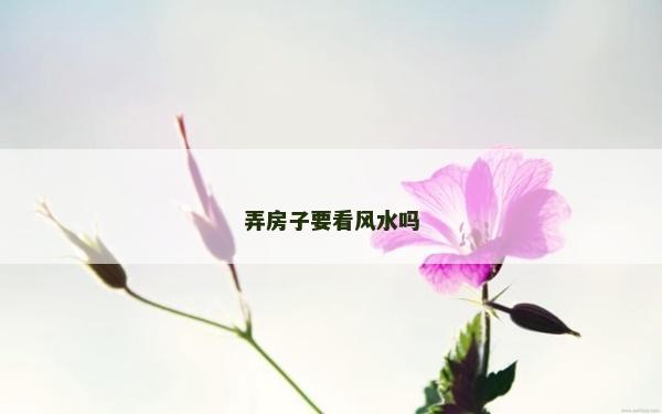 弄房子要看風(fēng)水嗎
