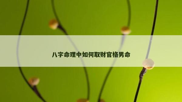 八字命理中如何取財官格男命 八字命理中如何取財官格男命