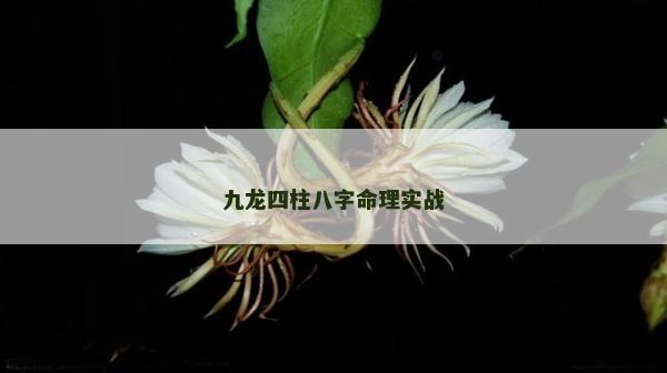 九龍四柱八字命理實(shí)戰(zhàn)