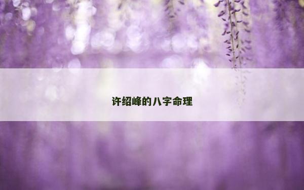 許紹峰的八字命理