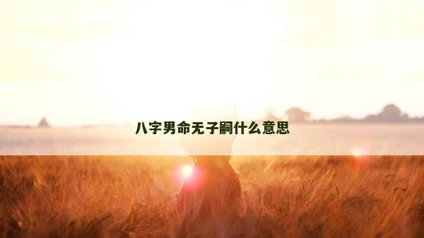 八字男命無子嗣什么意思