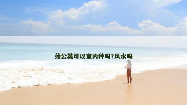 蒲公英可以室內種嗎?風水嗎