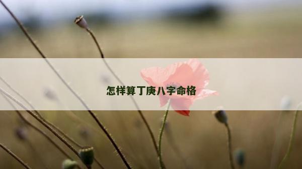 怎樣算丁庚八字命格
