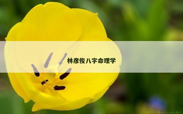 林彥俊八字命理學