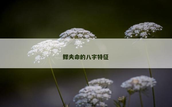 鰥夫命的八字特征
