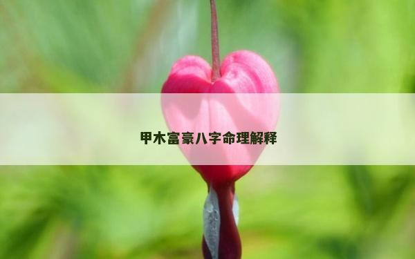 甲木富豪八字命理解釋 甲木富豪八字命理解釋