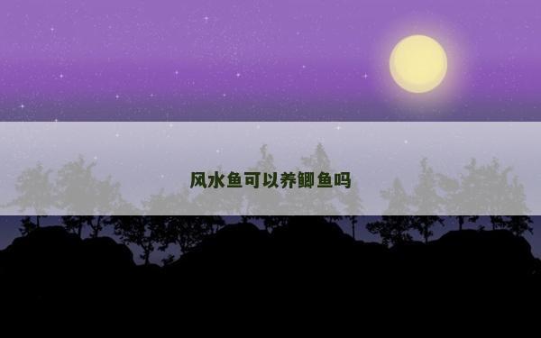 風水魚可以養鯽魚嗎
