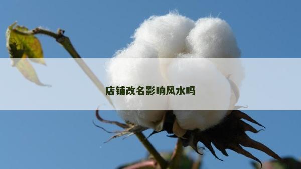 店鋪改名影響風水嗎