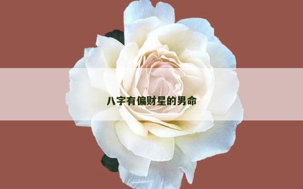 八字有偏財星的男命