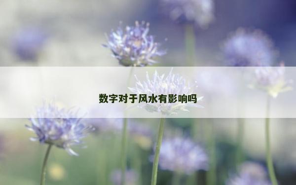 數字對于風水有影響嗎