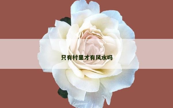 只有村里才有風(fēng)水嗎