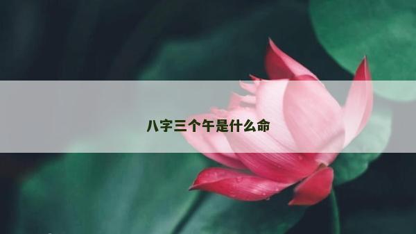 八字三個午是什么命