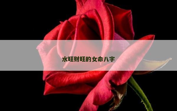 水旺財旺的女命八字