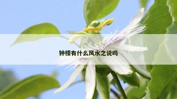 鐘樓有什么風(fēng)水之說(shuō)嗎 鐘樓有什么風(fēng)水之說(shuō)嗎
