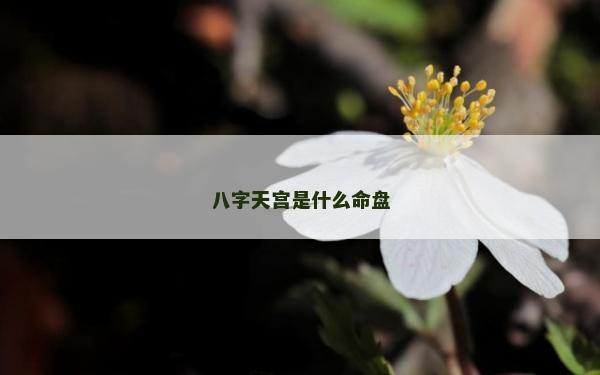 八字天宮是什么命盤