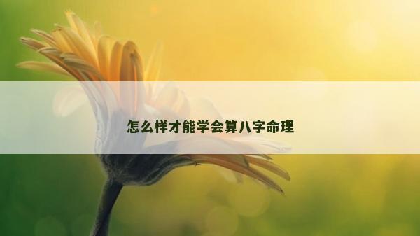 怎么樣才能學會算八字命理