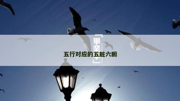 五行對應的五臟六腑