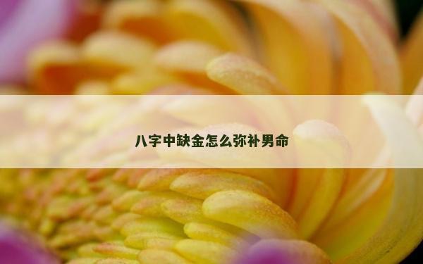 八字中缺金怎么彌補(bǔ)男命 八字中缺金怎么彌補(bǔ)男命