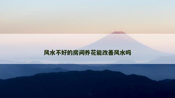 風(fēng)水不好的房間養(yǎng)花能改善風(fēng)水嗎