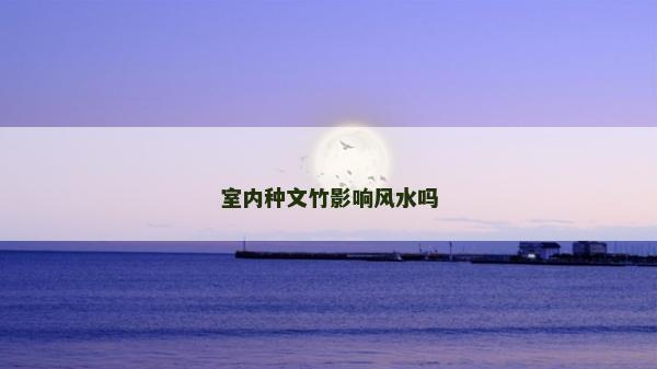 室內種文竹影響風水嗎