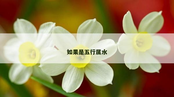 如果是五行屬水