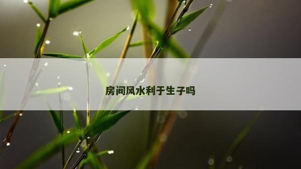 房間風水利于生子嗎 房間風水利于生子嗎