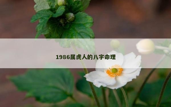 1986屬虎人的八字命理 1986屬虎人的八字命理