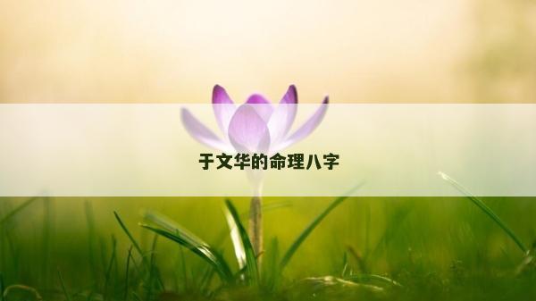于文華的命理八字