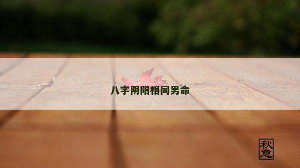 八字陰陽相同男命