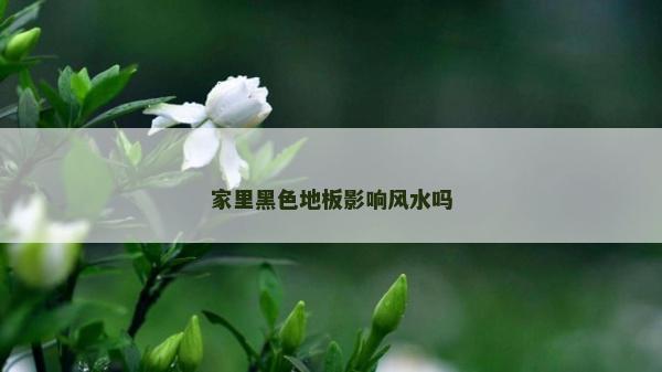 家里黑色地板影響風水嗎