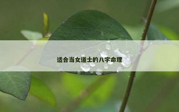 適合當(dāng)女道士的八字命理