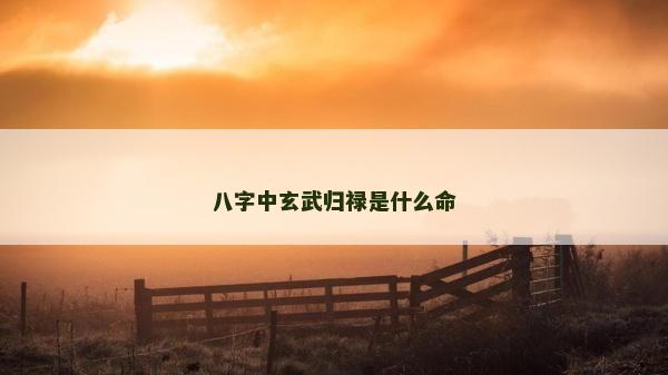 八字中玄武歸祿是什么命