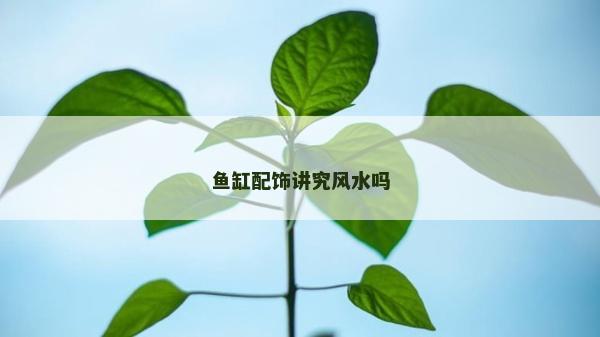 魚缸配飾講究風水嗎