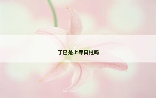 丁巳是上等日柱嗎