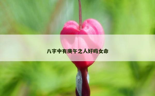 八字中有庚午之人好嗎女命