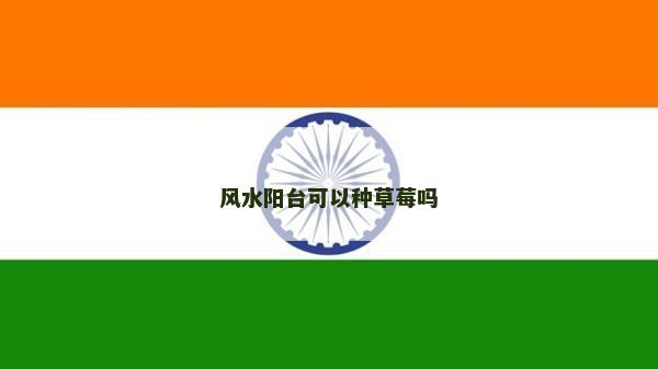 風水陽臺可以種草莓嗎