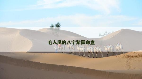毛人鳳的八字紫薇命盤