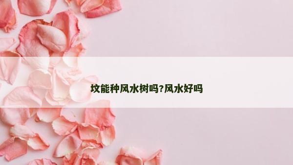 墳能種風水樹嗎?風水好嗎