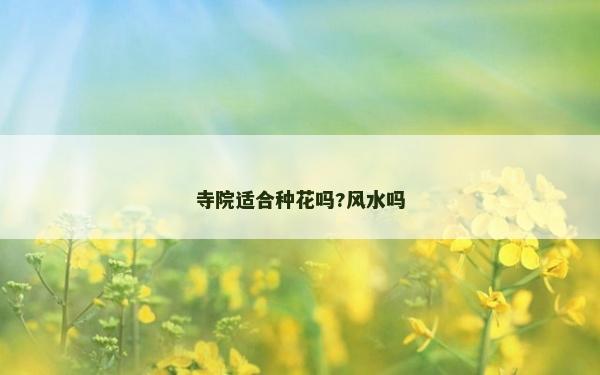 寺院適合種花嗎?風水嗎