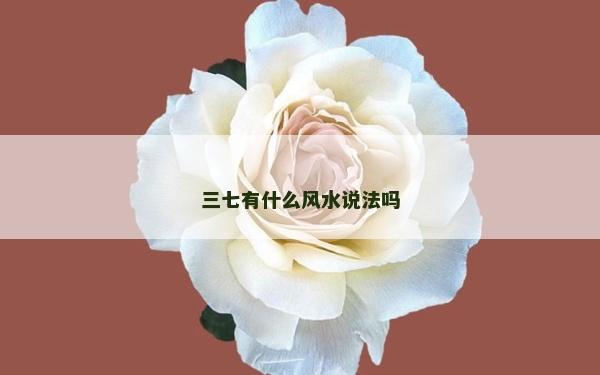 三七有什么風水說法嗎