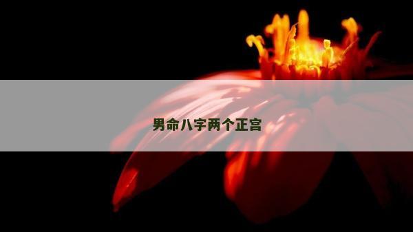 男命八字兩個正宮