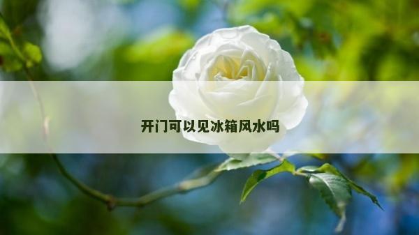 開門可以見冰箱風水嗎