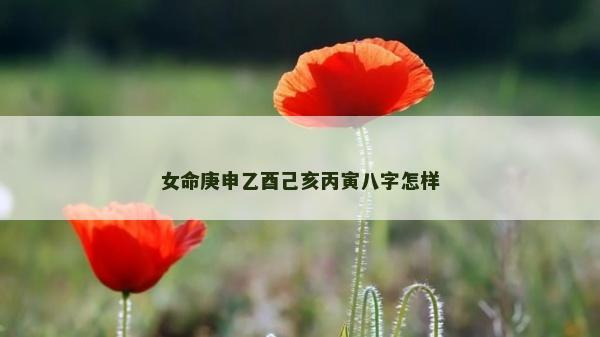 女命庚申乙酉己亥丙寅八字怎樣 女命庚申乙酉己亥丙寅八字怎樣