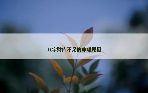 八字財庫不足的命理原因