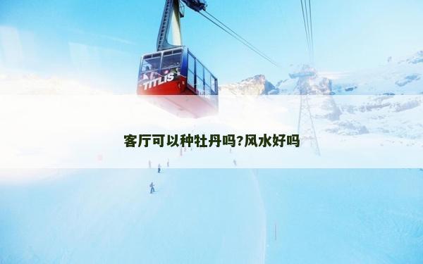 客廳可以種牡丹嗎?風水好嗎