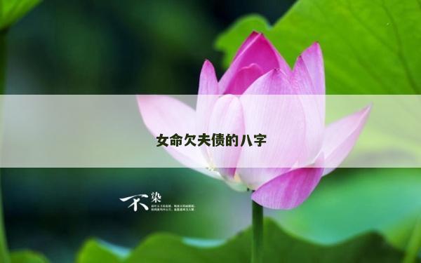 女命欠夫債的八字